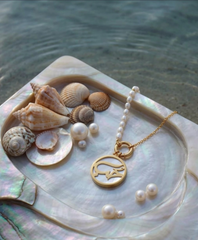 Circle Seashell Necklace