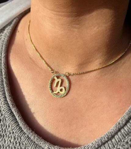 Zodiac Necklace with Zircon