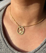Zodiac Necklace with Zircon