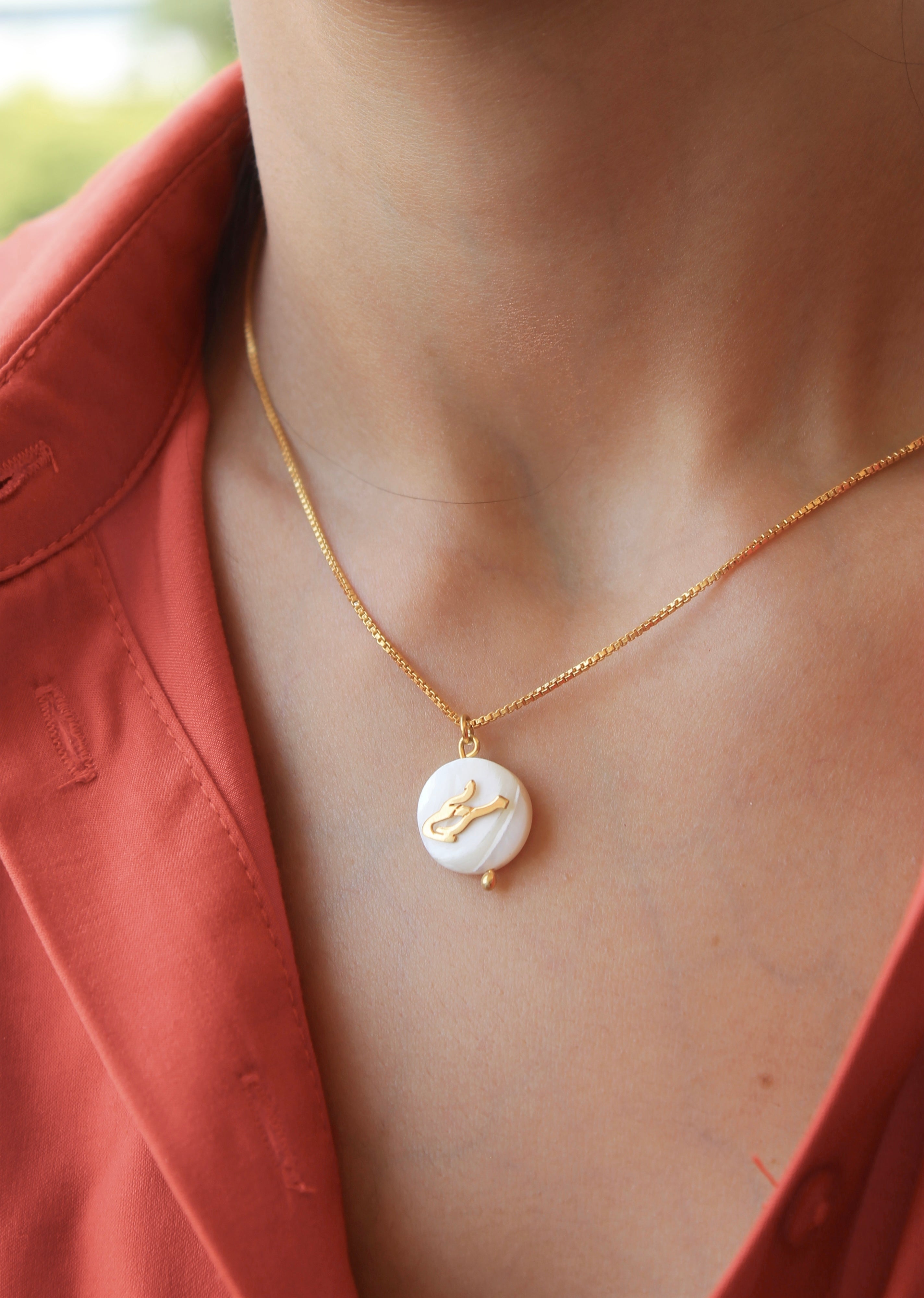Flat Seashell Set