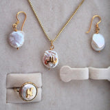 Natural Seashells Set