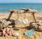 Natural Seashell Earrings
