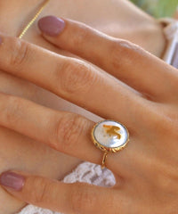 NATURAL SEASHELL SET